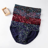 Xituodai New  Stripe Briefs Sale 4pcs/Lot Mens Brief Cotton Mens Underwear Pant For Men Sexy Underwear