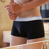 Xituodai Brand Underwear Men Boxer Men's Panties Graphene 3A Grade Antibacterial Pure Breathable Boxershorts Calzoncillos Calecon Homme