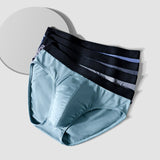 Xituodai Men's Underwears Briefs 2022 Modal Male Panties Cozy Man Briefs Soft Underpants AAA Grade Antibacterial Crotch Sexy Brand Shorts