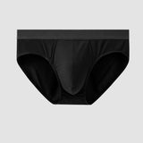 Xituodai Men's Underwears Briefs 2022 Modal Male Panties Cozy Man Briefs Soft Underpants AAA Grade Antibacterial Crotch Sexy Brand Shorts