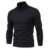 Xituodai New Winter Turtleneck Thick Mens Sweaters Casual Turtle Neck Solid Color Quality Warm Slim Turtleneck Sweaters Pullover Men